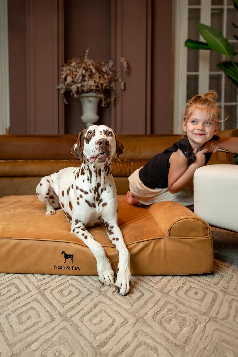 XL Dog Bed, 45x35x9.1 Inch, Orthopedic Large Dog Beds, Eggshell Memory Foam Infused with Cooling Gel, Water Resistant, Machine Washable, Includes Inner Cover