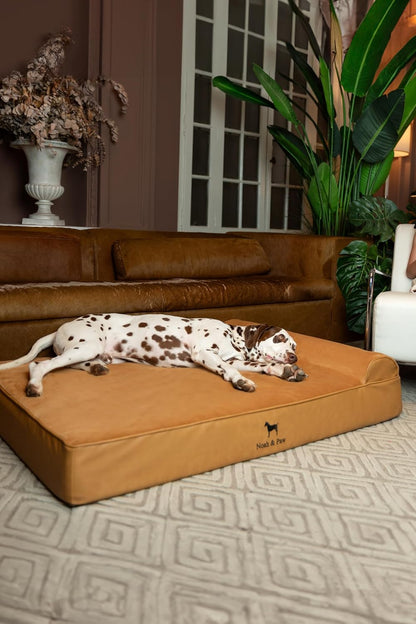 XL Dog Bed, 45x35x9.1 Inch, Orthopedic Large Dog Beds, Eggshell Memory Foam Infused with Cooling Gel, Water Resistant, Machine Washable, Includes Inner Cover