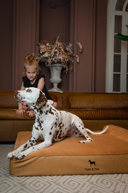 XL Dog Bed, 45x35x9.1 Inch, Orthopedic Large Dog Beds, Eggshell Memory Foam Infused with Cooling Gel, Water Resistant, Machine Washable, Includes Inner Cover