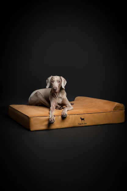 XL Dog Bed, 45x35x9.1 Inch, Orthopedic Large Dog Beds, Eggshell Memory Foam Infused with Cooling Gel, Water Resistant, Machine Washable, Includes Inner Cover