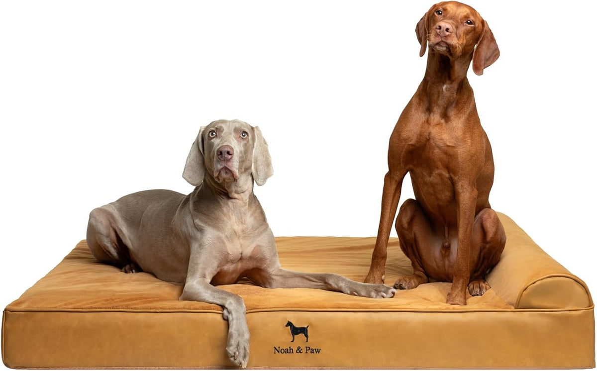 XL Dog Bed, 45x35x9.1 Inch, Orthopedic Large Dog Beds, Eggshell Memory Foam Infused with Cooling Gel, Water Resistant, Machine Washable, Includes Inner Cover