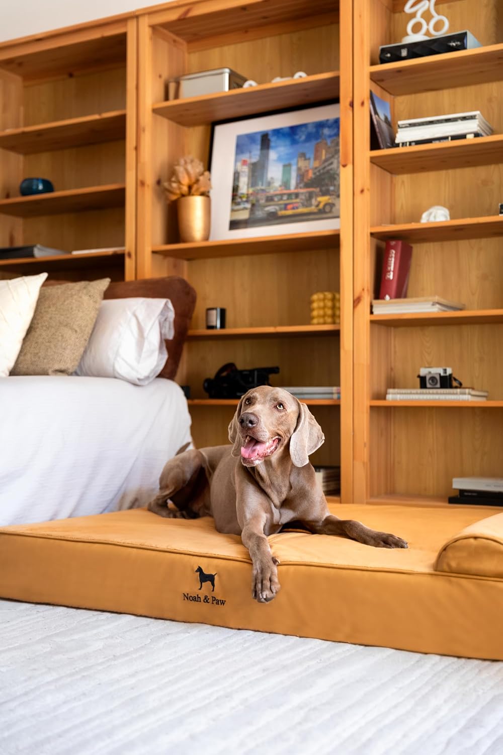 XL Dog Bed, 45x35x9.1 Inch, Orthopedic Large Dog Beds, Eggshell Memory Foam Infused with Cooling Gel, Water Resistant, Machine Washable, Includes Inner Cover