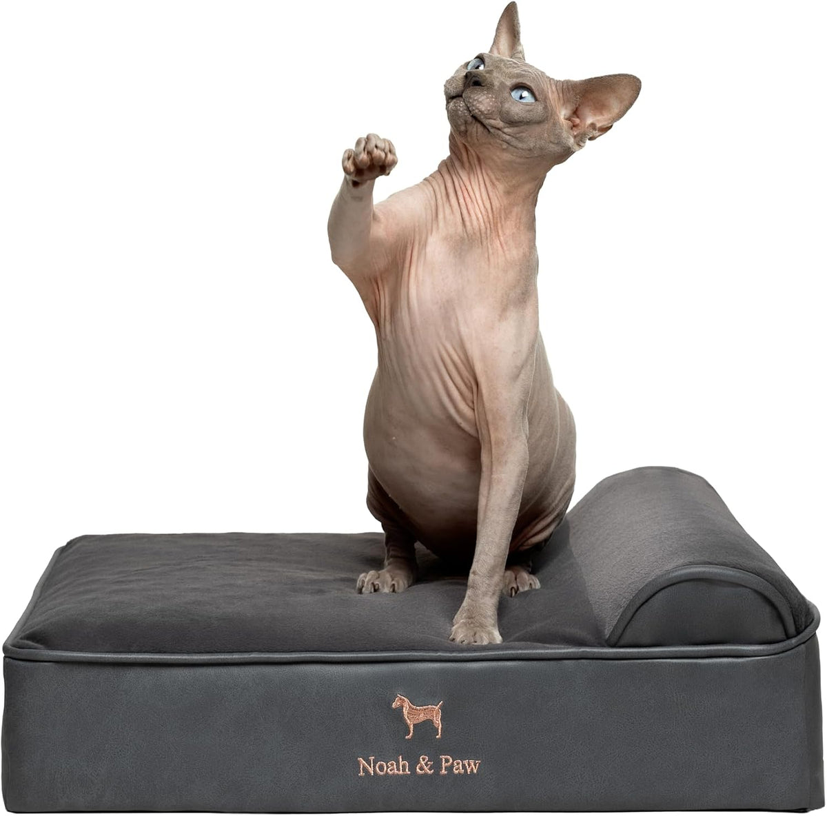 XL Dog Bed, 45x35x9.1 Inch, Orthopedic Large Dog Beds, Eggshell Memory Foam Infused with Cooling Gel, Water Resistant, Machine Washable, Includes Inner Cover
