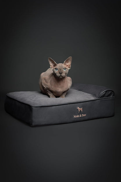 XL Dog Bed, 45x35x9.1 Inch, Orthopedic Large Dog Beds, Eggshell Memory Foam Infused with Cooling Gel, Water Resistant, Machine Washable, Includes Inner Cover