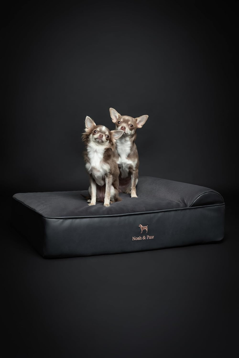 XL Dog Bed, 45x35x9.1 Inch, Orthopedic Large Dog Beds, Eggshell Memory Foam Infused with Cooling Gel, Water Resistant, Machine Washable, Includes Inner Cover
