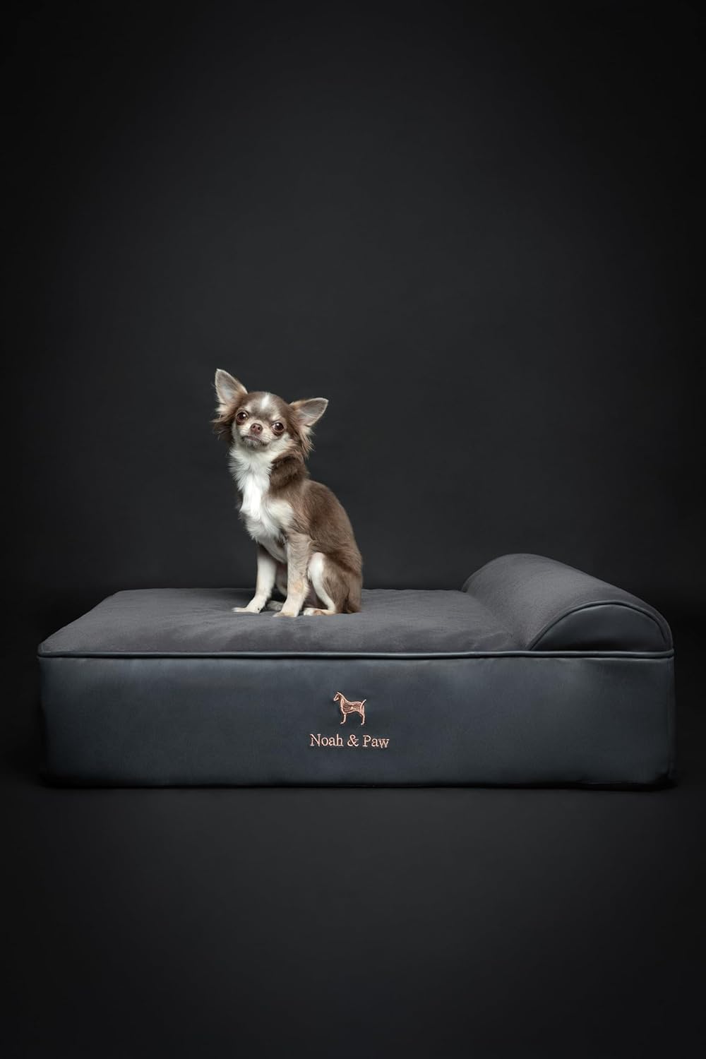 XL Dog Bed, 45x35x9.1 Inch, Orthopedic Large Dog Beds, Eggshell Memory Foam Infused with Cooling Gel, Water Resistant, Machine Washable, Includes Inner Cover