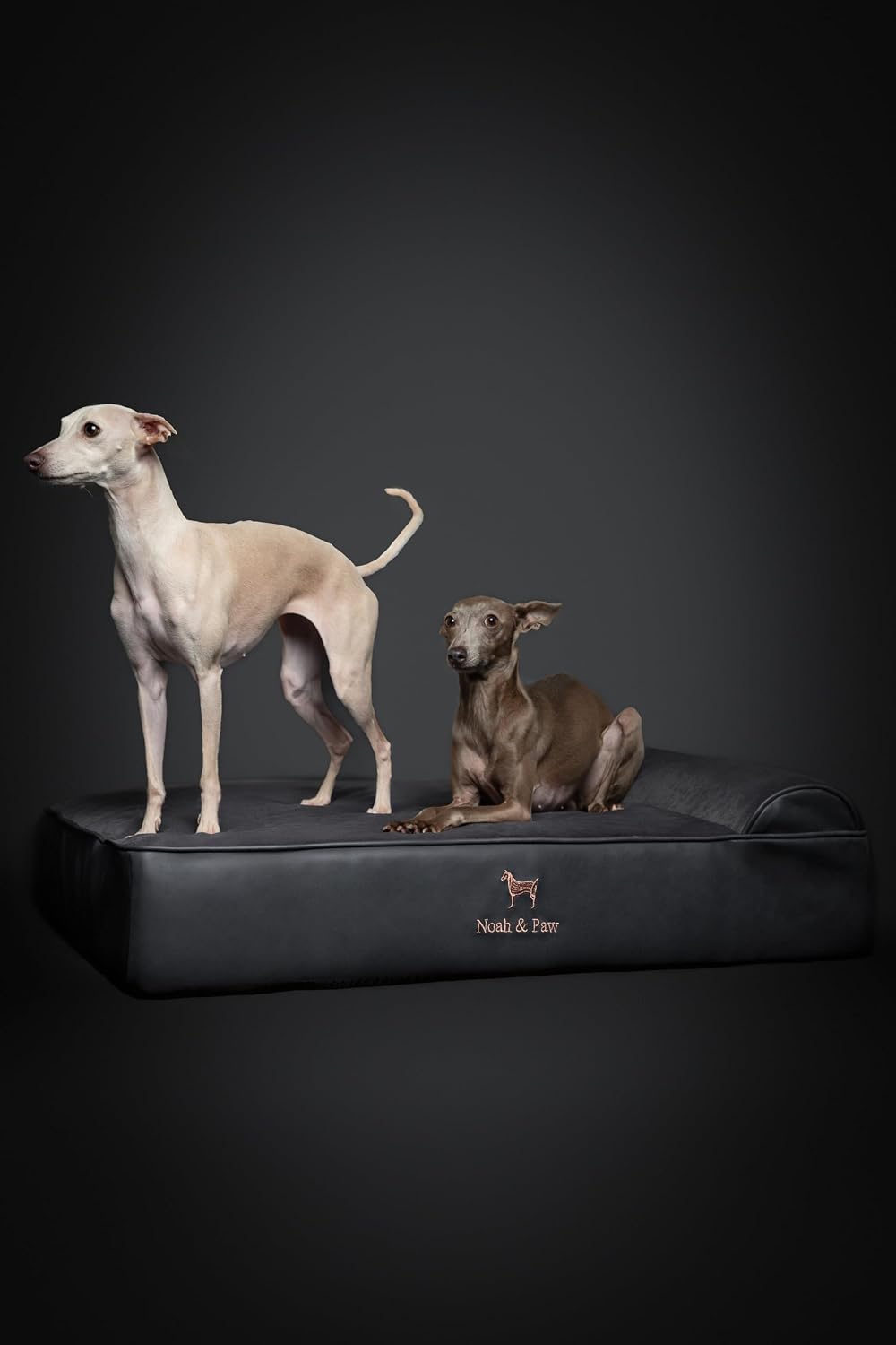 XL Dog Bed, 45x35x9.1 Inch, Orthopedic Large Dog Beds, Eggshell Memory Foam Infused with Cooling Gel, Water Resistant, Machine Washable, Includes Inner Cover