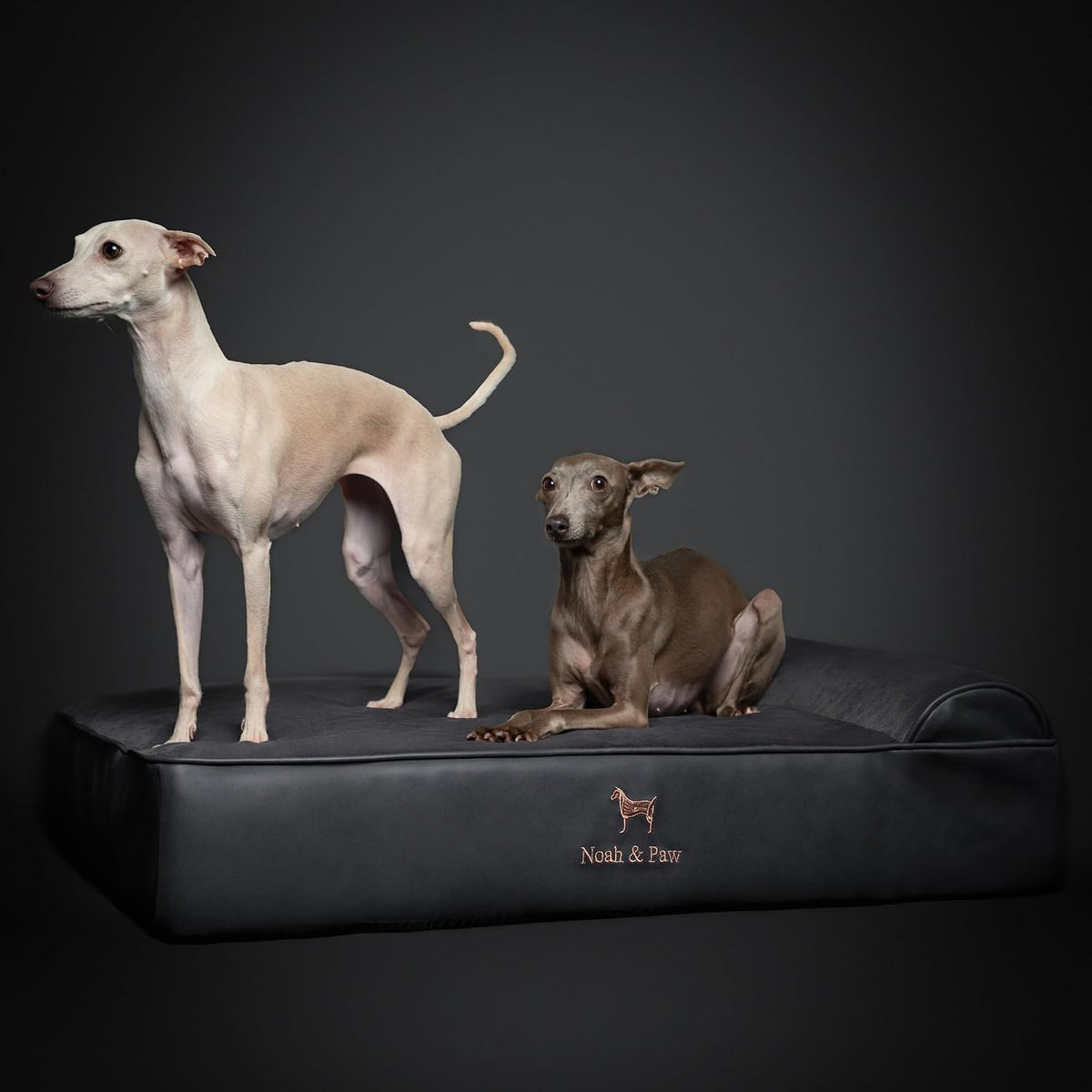 XL Dog Bed, 45x35x9.1 Inch, Orthopedic Large Dog Beds, Eggshell Memory Foam Infused with Cooling Gel, Water Resistant, Machine Washable, Includes Inner Cover