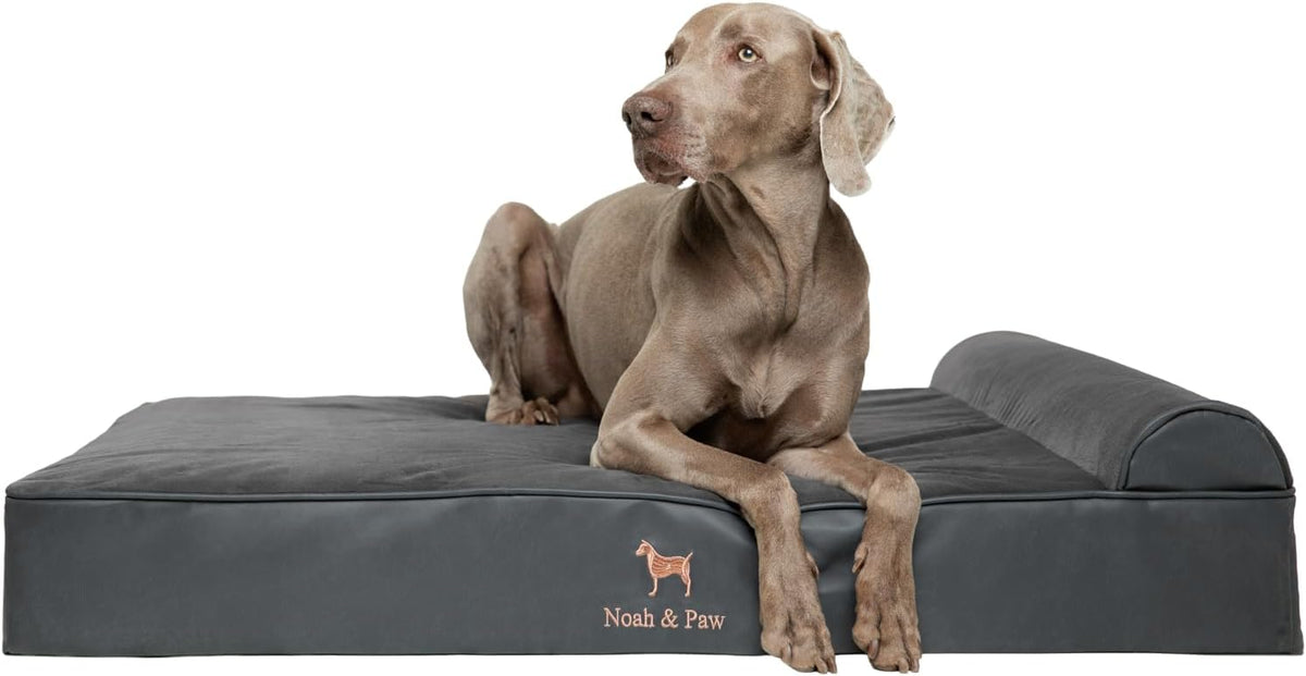 XL Dog Bed, 45x35x9.1 Inch, Orthopedic Large Dog Beds, Eggshell Memory Foam Infused with Cooling Gel, Water Resistant, Machine Washable, Includes Inner Cover