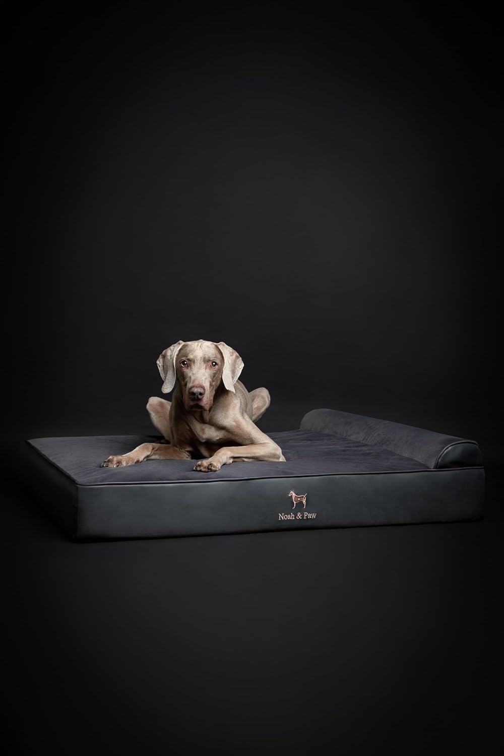 XL Dog Bed, 45x35x9.1 Inch, Orthopedic Large Dog Beds, Eggshell Memory Foam Infused with Cooling Gel, Water Resistant, Machine Washable, Includes Inner Cover