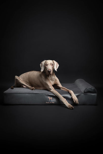 XL Dog Bed, 45x35x9.1 Inch, Orthopedic Large Dog Beds, Eggshell Memory Foam Infused with Cooling Gel, Water Resistant, Machine Washable, Includes Inner Cover