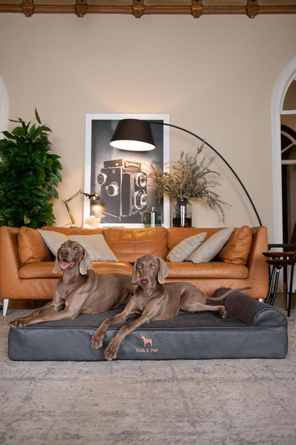 XL Dog Bed, 45x35x9.1 Inch, Orthopedic Large Dog Beds, Eggshell Memory Foam Infused with Cooling Gel, Water Resistant, Machine Washable, Includes Inner Cover