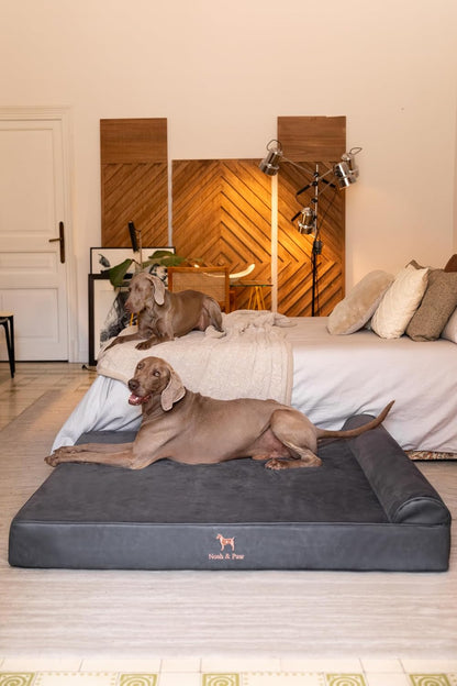 XL Dog Bed, 45x35x9.1 Inch, Orthopedic Large Dog Beds, Eggshell Memory Foam Infused with Cooling Gel, Water Resistant, Machine Washable, Includes Inner Cover