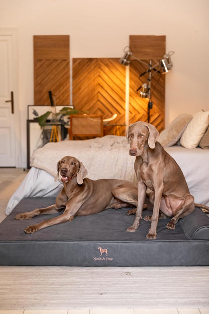 XL Dog Bed, 45x35x9.1 Inch, Orthopedic Large Dog Beds, Eggshell Memory Foam Infused with Cooling Gel, Water Resistant, Machine Washable, Includes Inner Cover