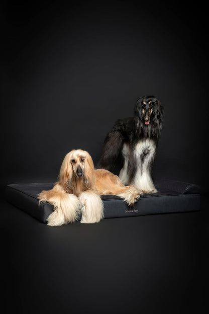 XL Dog Bed, 45x35x9.1 Inch, Orthopedic Large Dog Beds, Eggshell Memory Foam Infused with Cooling Gel, Water Resistant, Machine Washable, Includes Inner Cover