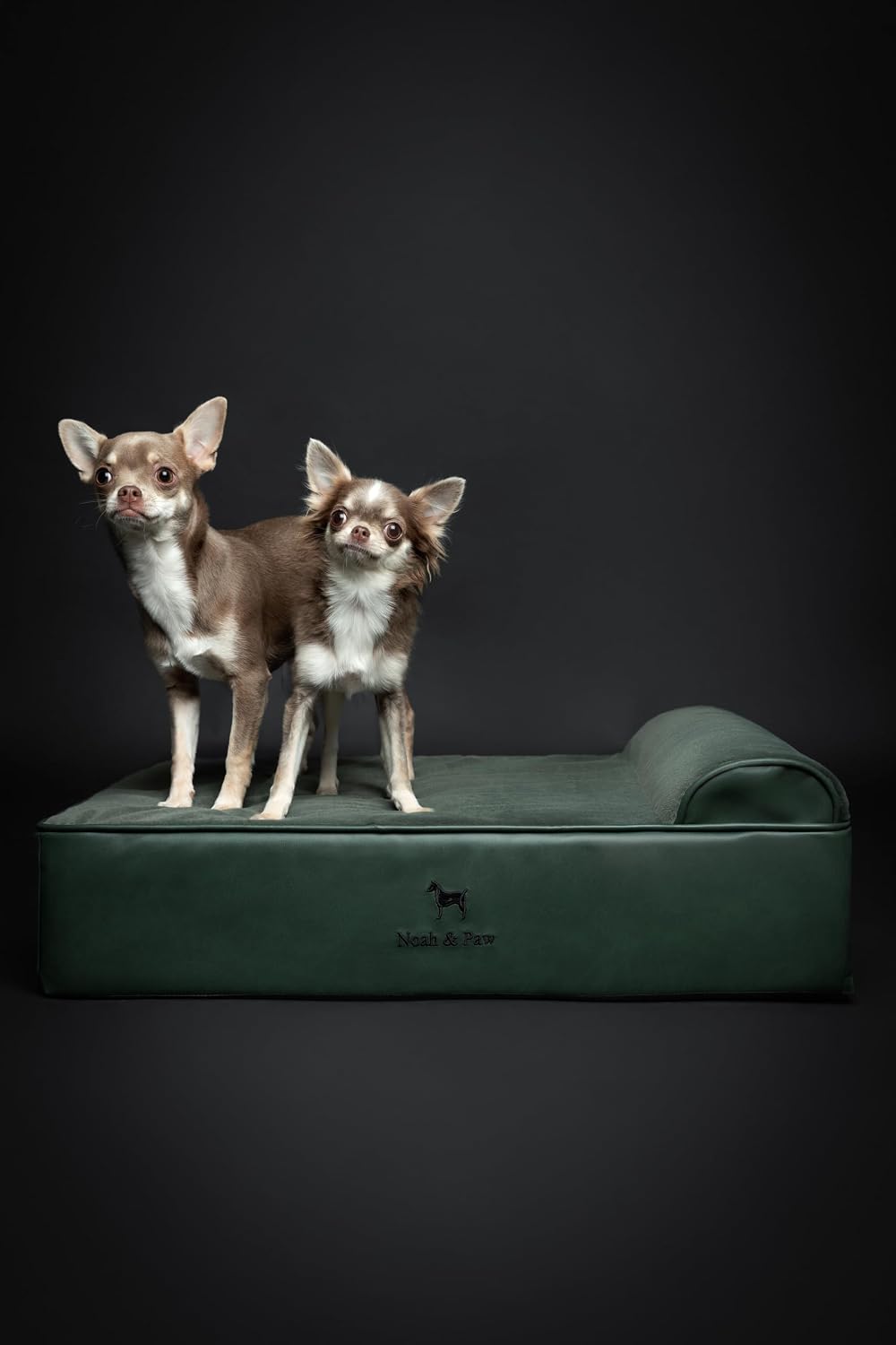 XL Dog Bed, 45x35x9.1 Inch, Orthopedic Large Dog Beds, Eggshell Memory Foam Infused with Cooling Gel, Water Resistant, Machine Washable, Includes Inner Cover