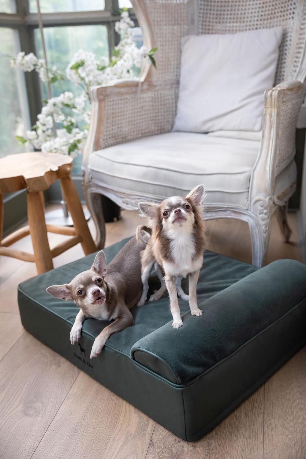 XL Dog Bed, 45x35x9.1 Inch, Orthopedic Large Dog Beds, Eggshell Memory Foam Infused with Cooling Gel, Water Resistant, Machine Washable, Includes Inner Cover