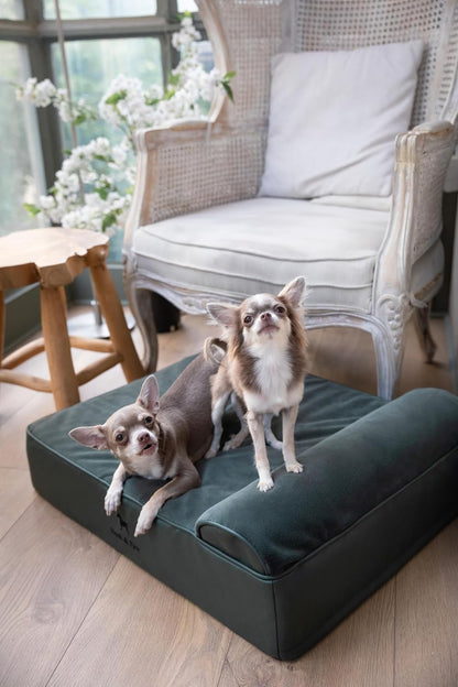 XL Dog Bed, 45x35x9.1 Inch, Orthopedic Large Dog Beds, Eggshell Memory Foam Infused with Cooling Gel, Water Resistant, Machine Washable, Includes Inner Cover