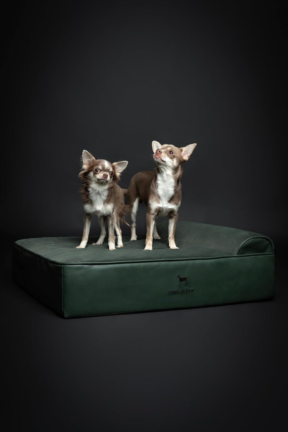 XL Dog Bed, 45x35x9.1 Inch, Orthopedic Large Dog Beds, Eggshell Memory Foam Infused with Cooling Gel, Water Resistant, Machine Washable, Includes Inner Cover