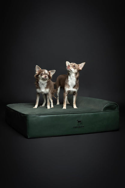 XL Dog Bed, 45x35x9.1 Inch, Orthopedic Large Dog Beds, Eggshell Memory Foam Infused with Cooling Gel, Water Resistant, Machine Washable, Includes Inner Cover