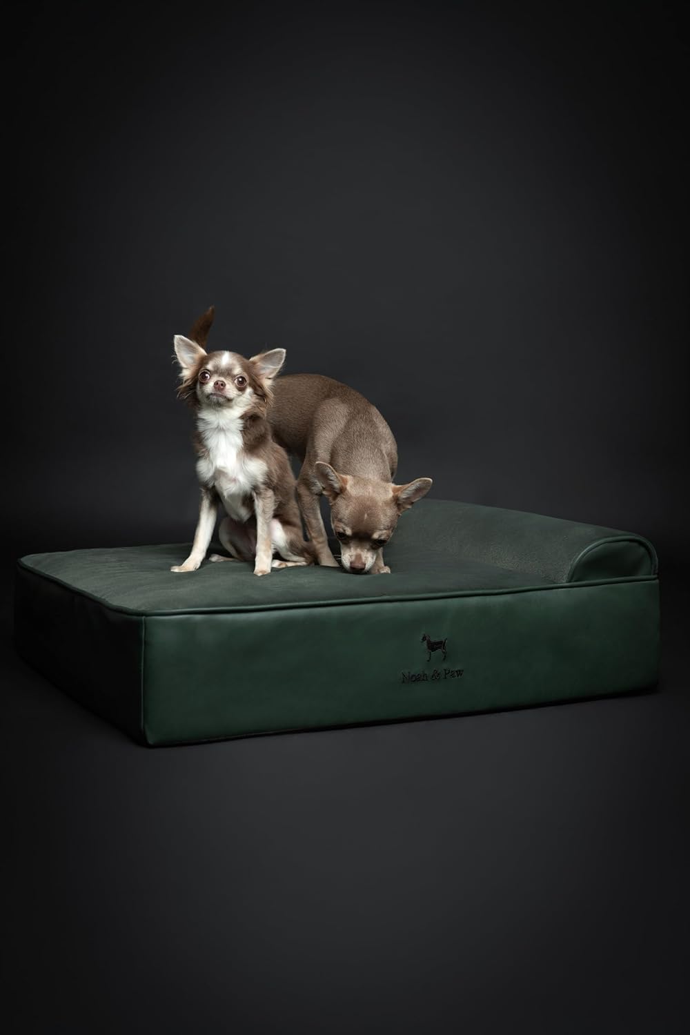 XL Dog Bed, 45x35x9.1 Inch, Orthopedic Large Dog Beds, Eggshell Memory Foam Infused with Cooling Gel, Water Resistant, Machine Washable, Includes Inner Cover