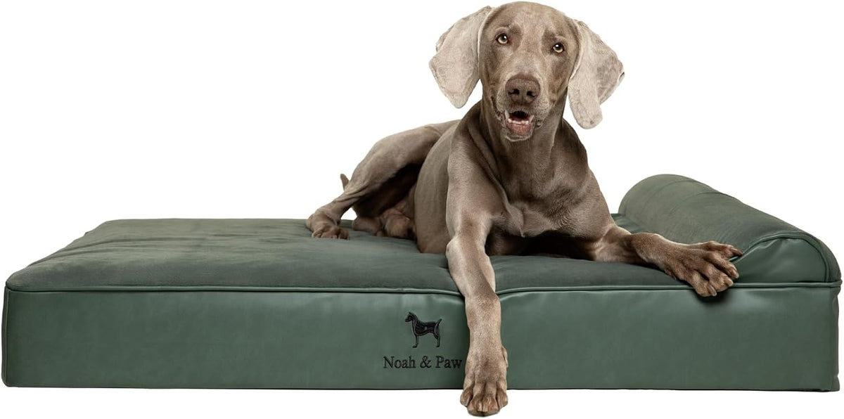 XL Dog Bed, 45x35x9.1 Inch, Orthopedic Large Dog Beds, Eggshell Memory Foam Infused with Cooling Gel, Water Resistant, Machine Washable, Includes Inner Cover