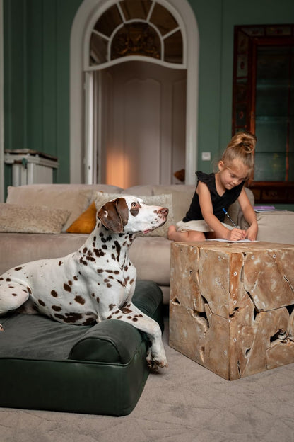 XL Dog Bed, 45x35x9.1 Inch, Orthopedic Large Dog Beds, Eggshell Memory Foam Infused with Cooling Gel, Water Resistant, Machine Washable, Includes Inner Cover