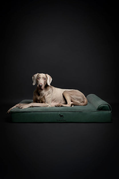 XL Dog Bed, 45x35x9.1 Inch, Orthopedic Large Dog Beds, Eggshell Memory Foam Infused with Cooling Gel, Water Resistant, Machine Washable, Includes Inner Cover