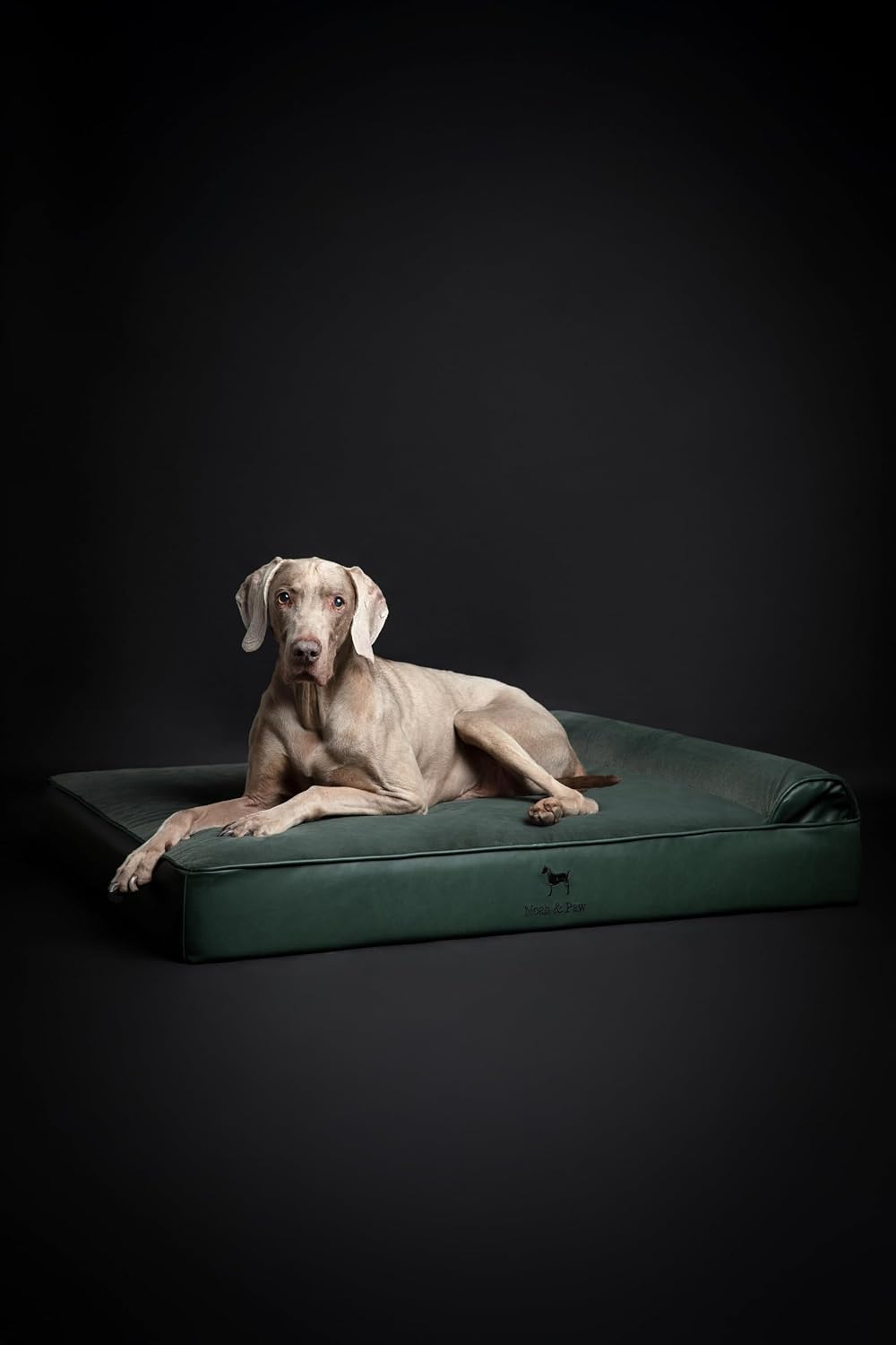XL Dog Bed, 45x35x9.1 Inch, Orthopedic Large Dog Beds, Eggshell Memory Foam Infused with Cooling Gel, Water Resistant, Machine Washable, Includes Inner Cover