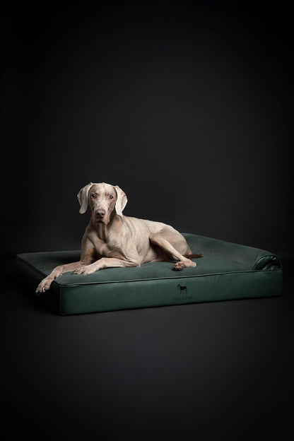 XL Dog Bed, 45x35x9.1 Inch, Orthopedic Large Dog Beds, Eggshell Memory Foam Infused with Cooling Gel, Water Resistant, Machine Washable, Includes Inner Cover