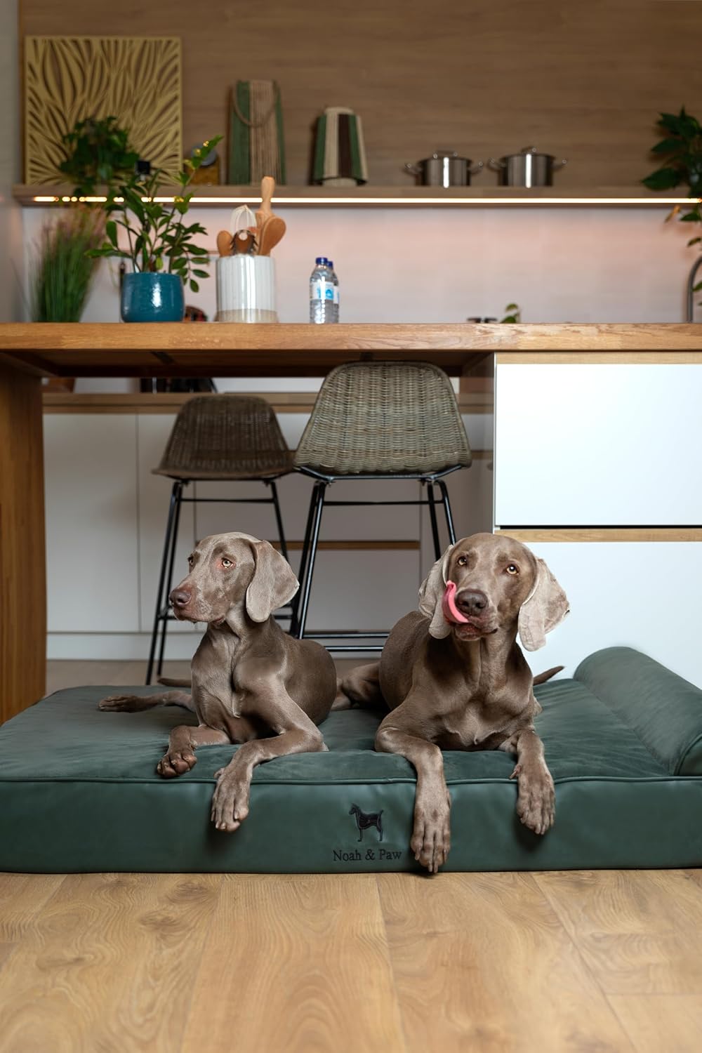 XL Dog Bed, 45x35x9.1 Inch, Orthopedic Large Dog Beds, Eggshell Memory Foam Infused with Cooling Gel, Water Resistant, Machine Washable, Includes Inner Cover