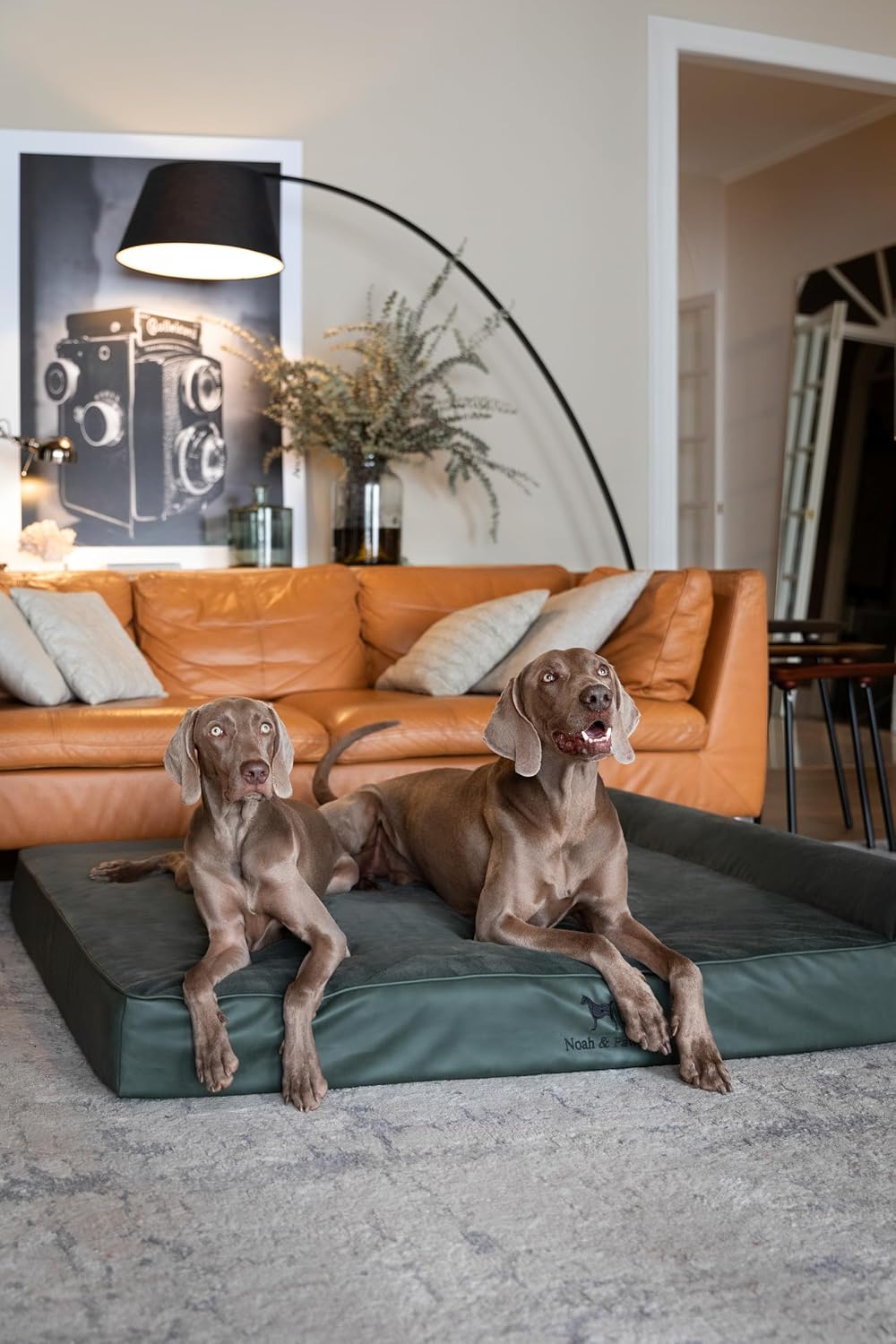 XL Dog Bed, 45x35x9.1 Inch, Orthopedic Large Dog Beds, Eggshell Memory Foam Infused with Cooling Gel, Water Resistant, Machine Washable, Includes Inner Cover