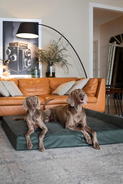XL Dog Bed, 45x35x9.1 Inch, Orthopedic Large Dog Beds, Eggshell Memory Foam Infused with Cooling Gel, Water Resistant, Machine Washable, Includes Inner Cover