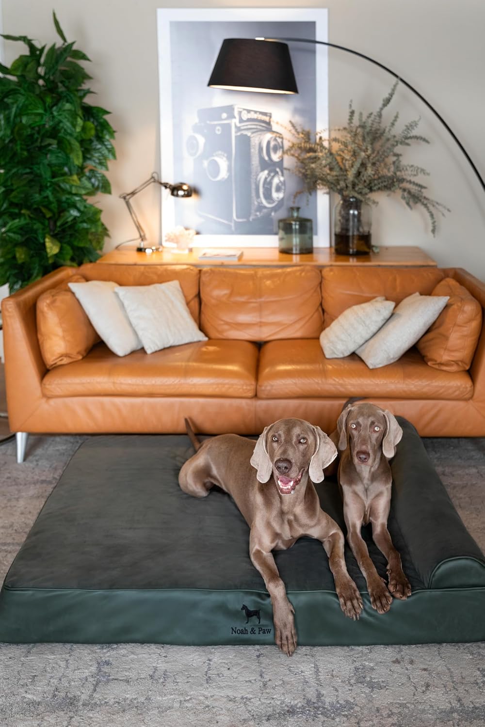 XL Dog Bed, 45x35x9.1 Inch, Orthopedic Large Dog Beds, Eggshell Memory Foam Infused with Cooling Gel, Water Resistant, Machine Washable, Includes Inner Cover