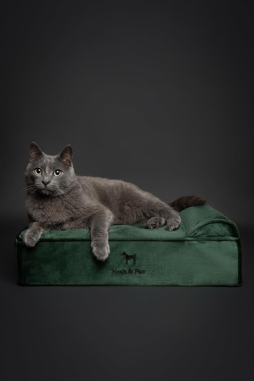 XL Dog Bed, 45x35x9.1 Inch, Orthopedic Large Dog Beds, Eggshell Memory Foam Infused with Cooling Gel, Water Resistant, Machine Washable, Includes Inner Cover