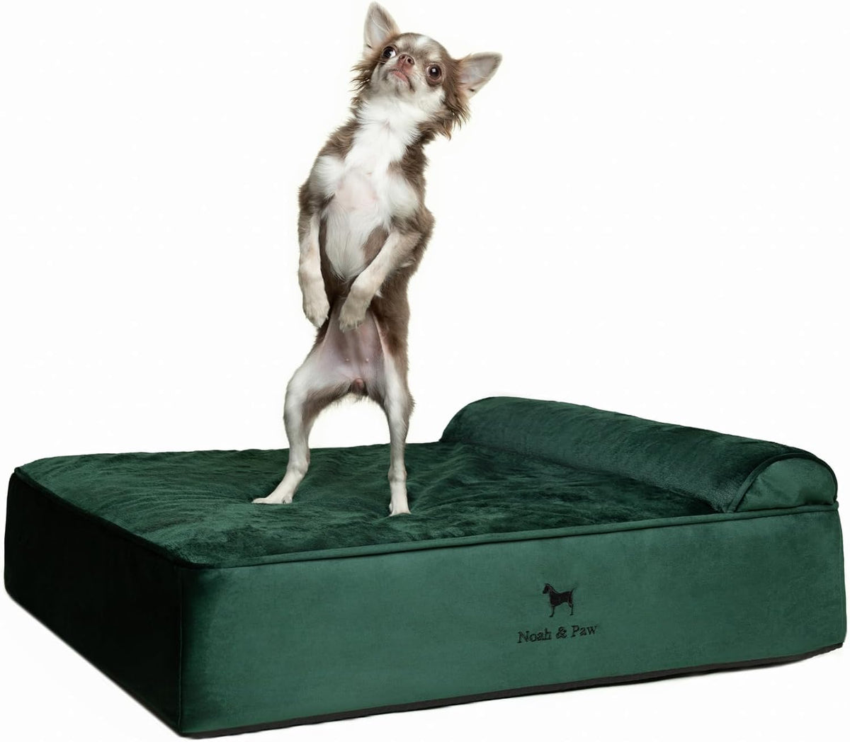 XL Dog Bed, 45x35x9.1 Inch, Orthopedic Large Dog Beds, Eggshell Memory Foam Infused with Cooling Gel, Water Resistant, Machine Washable, Includes Inner Cover