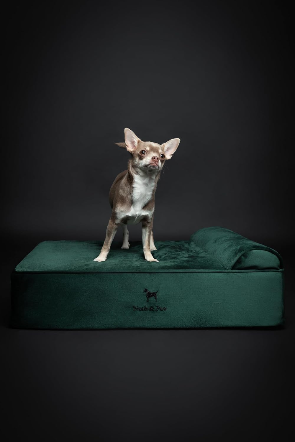 XL Dog Bed, 45x35x9.1 Inch, Orthopedic Large Dog Beds, Eggshell Memory Foam Infused with Cooling Gel, Water Resistant, Machine Washable, Includes Inner Cover