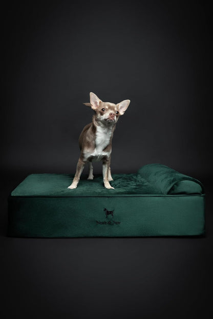 XL Dog Bed, 45x35x9.1 Inch, Orthopedic Large Dog Beds, Eggshell Memory Foam Infused with Cooling Gel, Water Resistant, Machine Washable, Includes Inner Cover