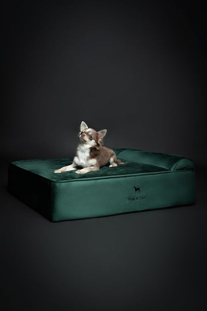 XL Dog Bed, 45x35x9.1 Inch, Orthopedic Large Dog Beds, Eggshell Memory Foam Infused with Cooling Gel, Water Resistant, Machine Washable, Includes Inner Cover
