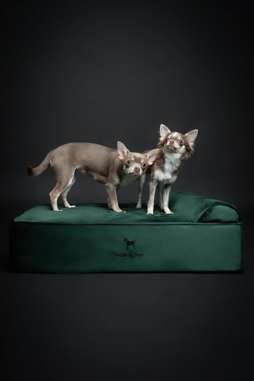 XL Dog Bed, 45x35x9.1 Inch, Orthopedic Large Dog Beds, Eggshell Memory Foam Infused with Cooling Gel, Water Resistant, Machine Washable, Includes Inner Cover