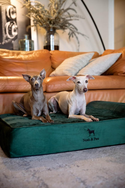 XL Dog Bed, 45x35x9.1 Inch, Orthopedic Large Dog Beds, Eggshell Memory Foam Infused with Cooling Gel, Water Resistant, Machine Washable, Includes Inner Cover