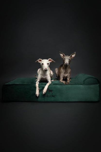 XL Dog Bed, 45x35x9.1 Inch, Orthopedic Large Dog Beds, Eggshell Memory Foam Infused with Cooling Gel, Water Resistant, Machine Washable, Includes Inner Cover