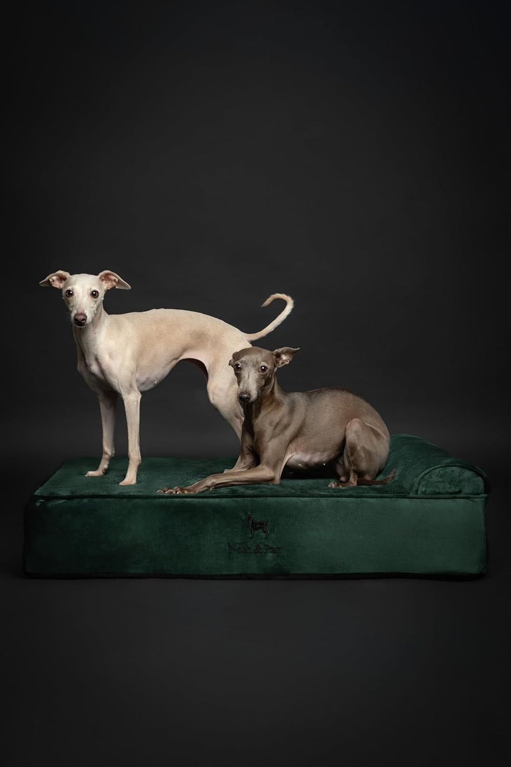 XL Dog Bed, 45x35x9.1 Inch, Orthopedic Large Dog Beds, Eggshell Memory Foam Infused with Cooling Gel, Water Resistant, Machine Washable, Includes Inner Cover