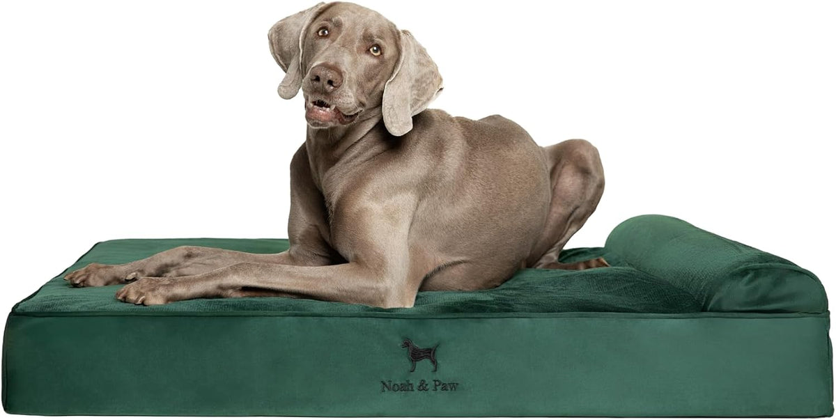 XL Dog Bed, 45x35x9.1 Inch, Orthopedic Large Dog Beds, Eggshell Memory Foam Infused with Cooling Gel, Water Resistant, Machine Washable, Includes Inner Cover
