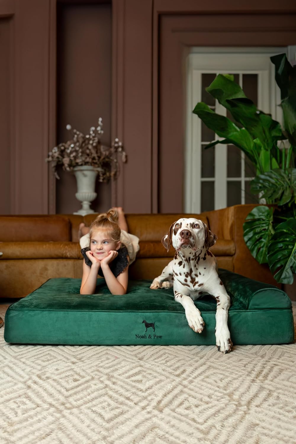 XL Dog Bed, 45x35x9.1 Inch, Orthopedic Large Dog Beds, Eggshell Memory Foam Infused with Cooling Gel, Water Resistant, Machine Washable, Includes Inner Cover