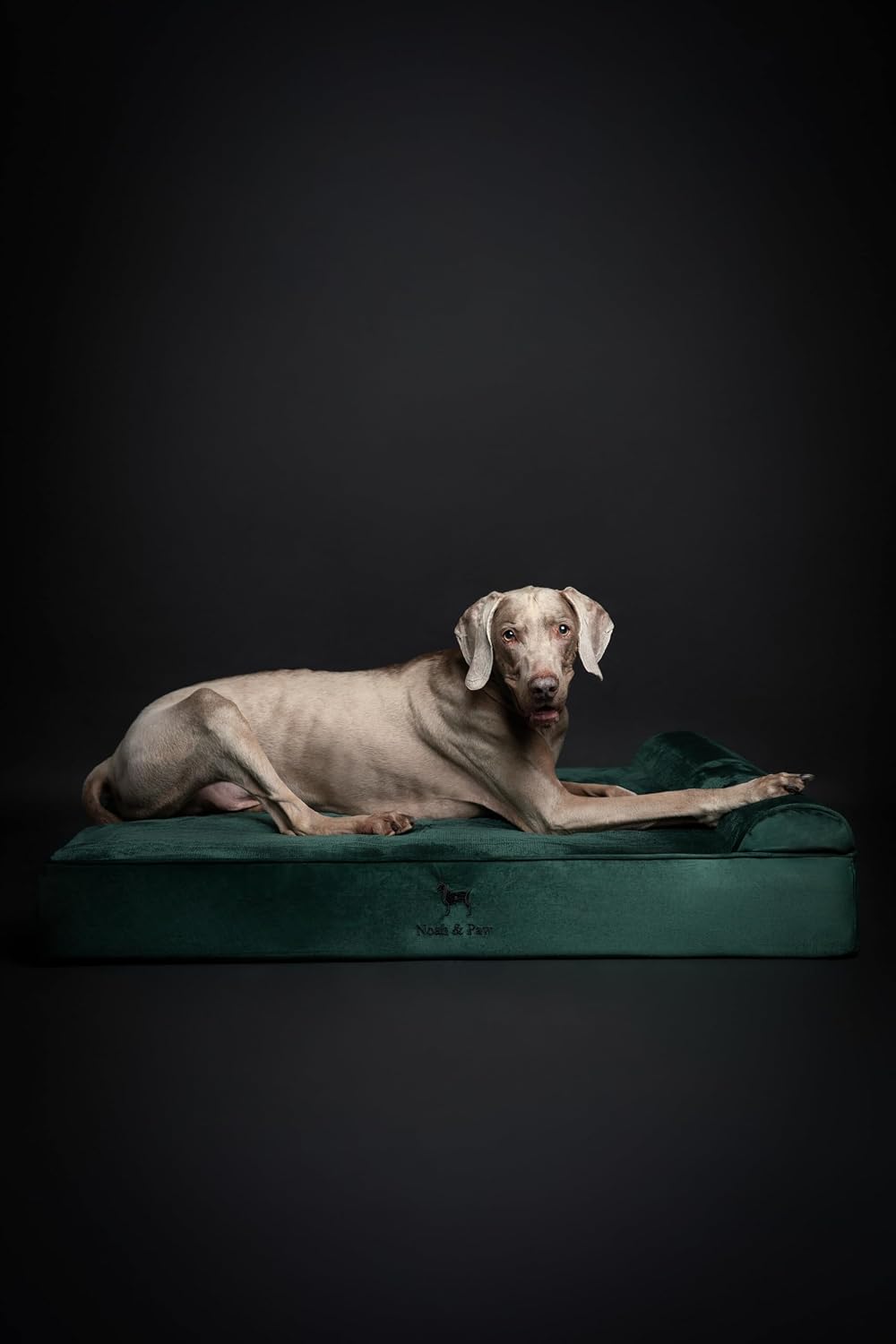 XL Dog Bed, 45x35x9.1 Inch, Orthopedic Large Dog Beds, Eggshell Memory Foam Infused with Cooling Gel, Water Resistant, Machine Washable, Includes Inner Cover