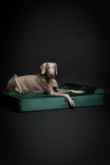 XL Dog Bed, 45x35x9.1 Inch, Orthopedic Large Dog Beds, Eggshell Memory Foam Infused with Cooling Gel, Water Resistant, Machine Washable, Includes Inner Cover