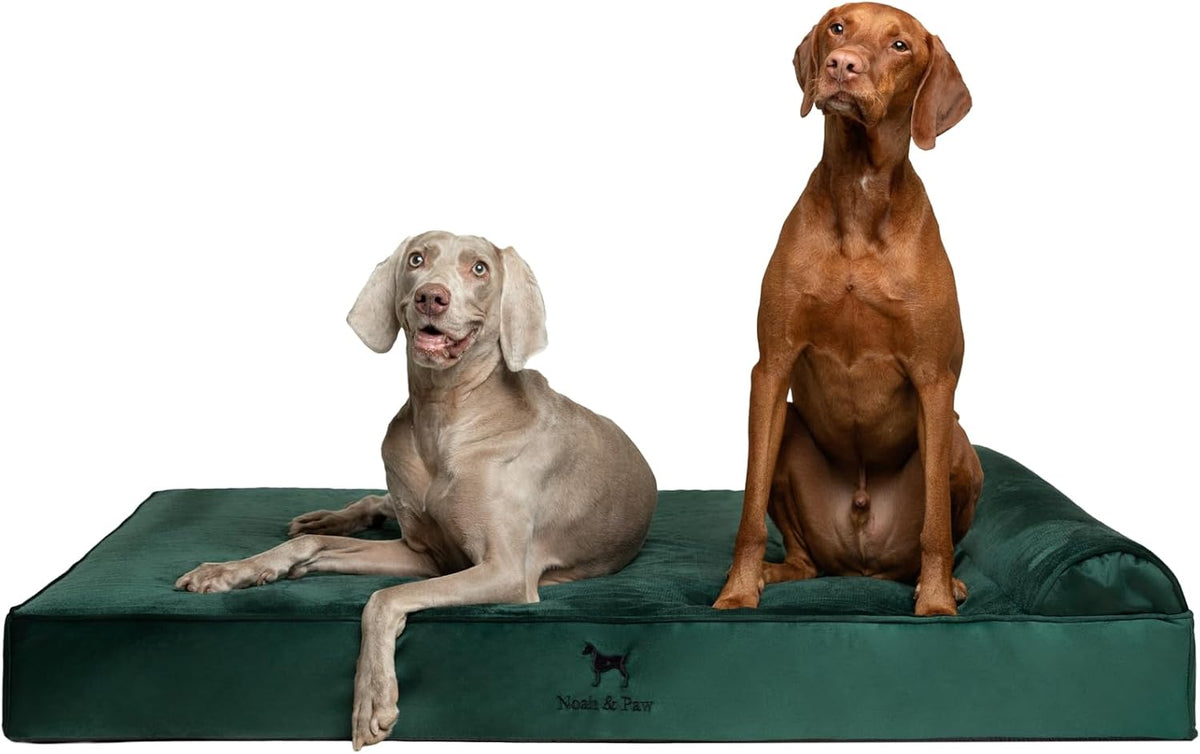 XL Dog Bed, 45x35x9.1 Inch, Orthopedic Large Dog Beds, Eggshell Memory Foam Infused with Cooling Gel, Water Resistant, Machine Washable, Includes Inner Cover