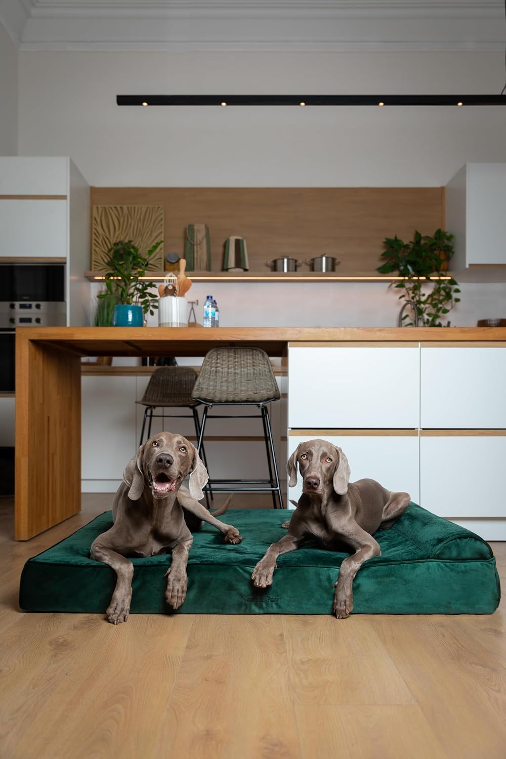 XL Dog Bed, 45x35x9.1 Inch, Orthopedic Large Dog Beds, Eggshell Memory Foam Infused with Cooling Gel, Water Resistant, Machine Washable, Includes Inner Cover
