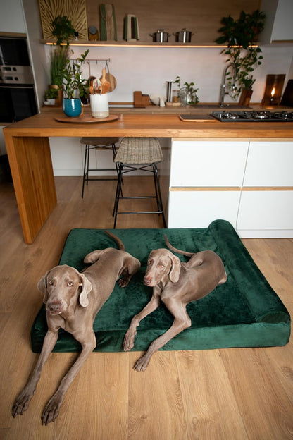 XL Dog Bed, 45x35x9.1 Inch, Orthopedic Large Dog Beds, Eggshell Memory Foam Infused with Cooling Gel, Water Resistant, Machine Washable, Includes Inner Cover